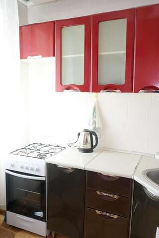 Апартаменты Apartment on Kniaziv Koriatovychiv Каменец-Подольский Апартаменты-22